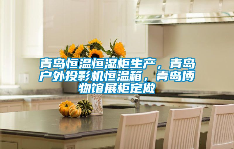 青島恒溫恒濕柜生產(chǎn)，青島戶外投影機(jī)恒溫箱，青島博物館展柜定做
