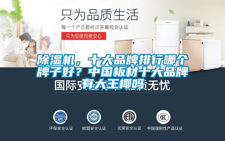 除濕機，十大品牌排行哪個牌子好？中國板材十大品牌有大王椰嗎
