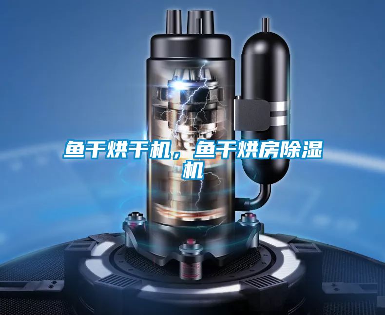 魚干烘干機(jī)，魚干烘房除濕機(jī)