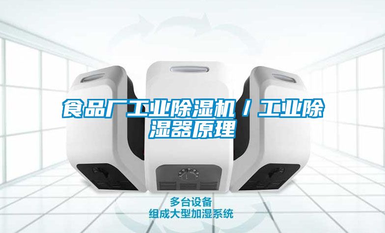 食品廠工業(yè)除濕機(jī)／工業(yè)除濕器原理