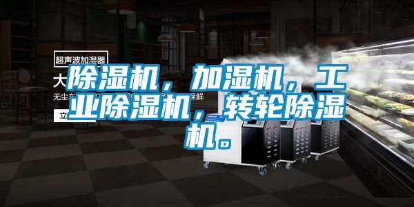 除濕機，加濕機，工業(yè)除濕機，轉(zhuǎn)輪除濕機。