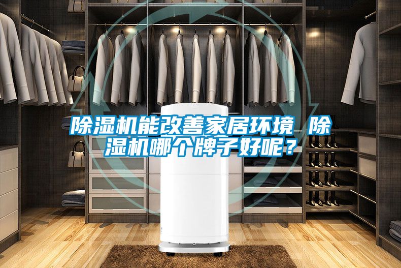 除濕機能改善家居環(huán)境 除濕機哪個牌子好呢？