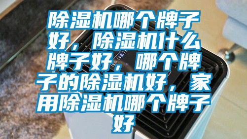 除濕機哪個牌子好，除濕機什么牌子好，哪個牌子的除濕機好，家用除濕機哪個牌子好