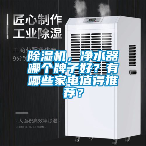 除濕機，凈水器哪個牌子好？有哪些家電值得推薦？