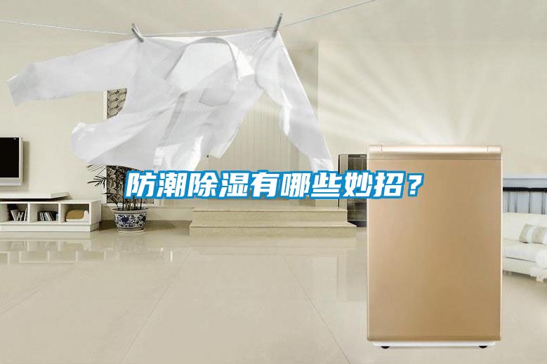 防潮除濕有哪些妙招？