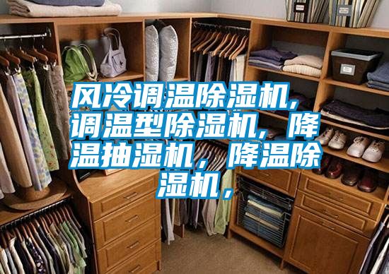 風(fēng)冷調(diào)溫除濕機(jī), 調(diào)溫型除濕機(jī), 降溫抽濕機(jī)，降溫除濕機(jī)，