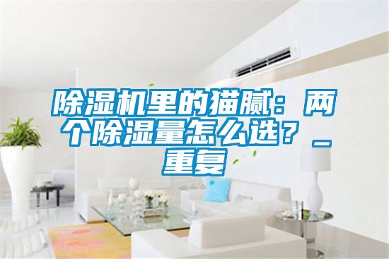 除濕機里的貓膩：兩個除濕量怎么選？_重復